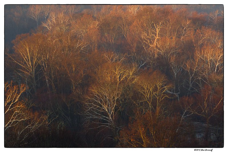 _2SB7682 first winter light.jpg